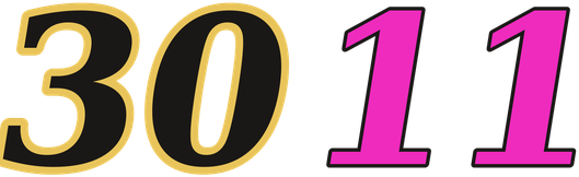 3011 logo